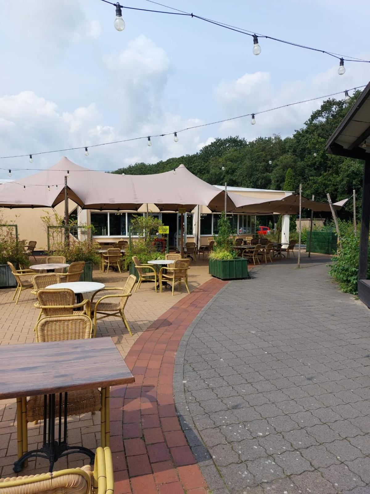 2 Bedroom Fins Chalet Gramsbergen 外观 照片