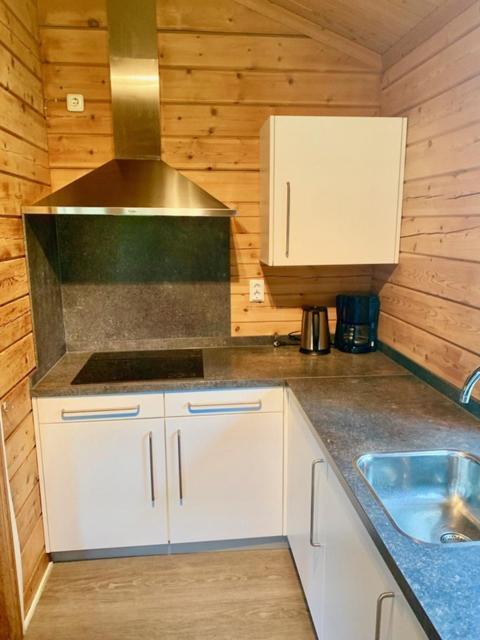 2 Bedroom Fins Chalet Gramsbergen 外观 照片